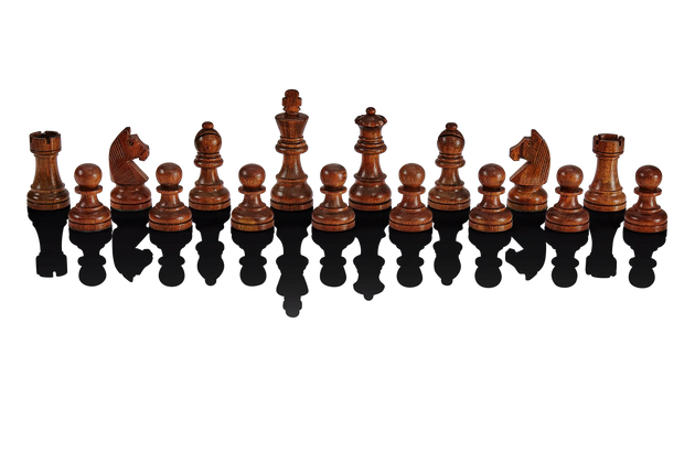 Millennium Exclusive Luxe Edition Chess E-Board