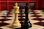 Signature Contemporary II Chess Board - African Palisander/ Curly Maple - 2.5" Squares
