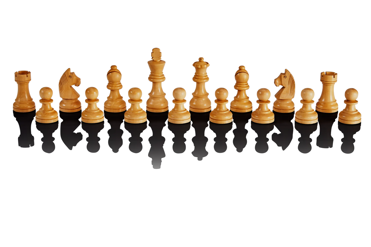 Millennium Exclusive Luxe Edition Chess E-Board
