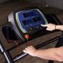Endurance Walking & Rehab Treadmill
